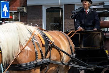 a man riding a horse drawn carriage