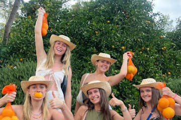 Valencia orange farm tour