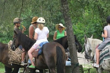 a group of people riding on the back of a brown horse