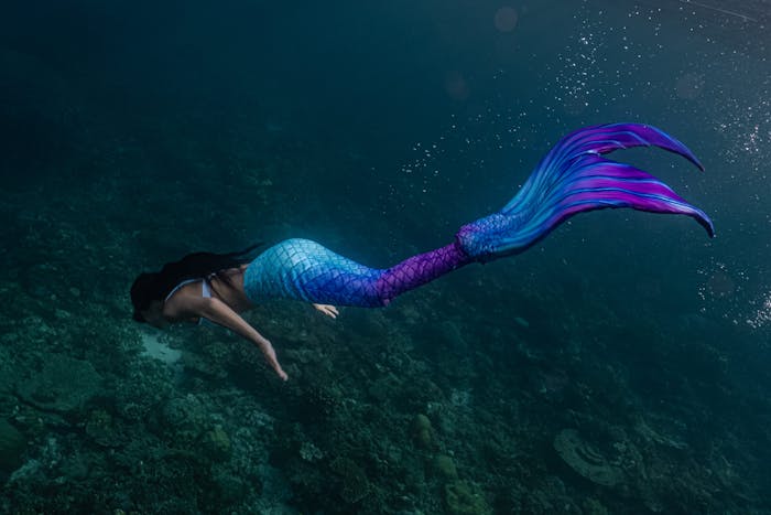 Mermaid Snorkeling Tours in Honolulu, HI | Hawaii Try Scuba Diving