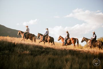 a group of people riding horses on a grassy field