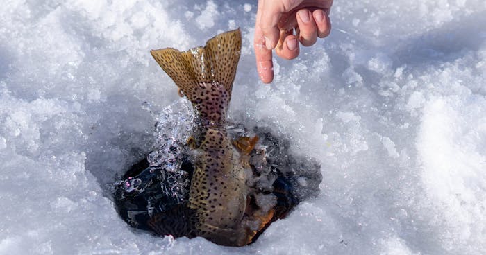 Ice Fishing in Utah, Guided Tours