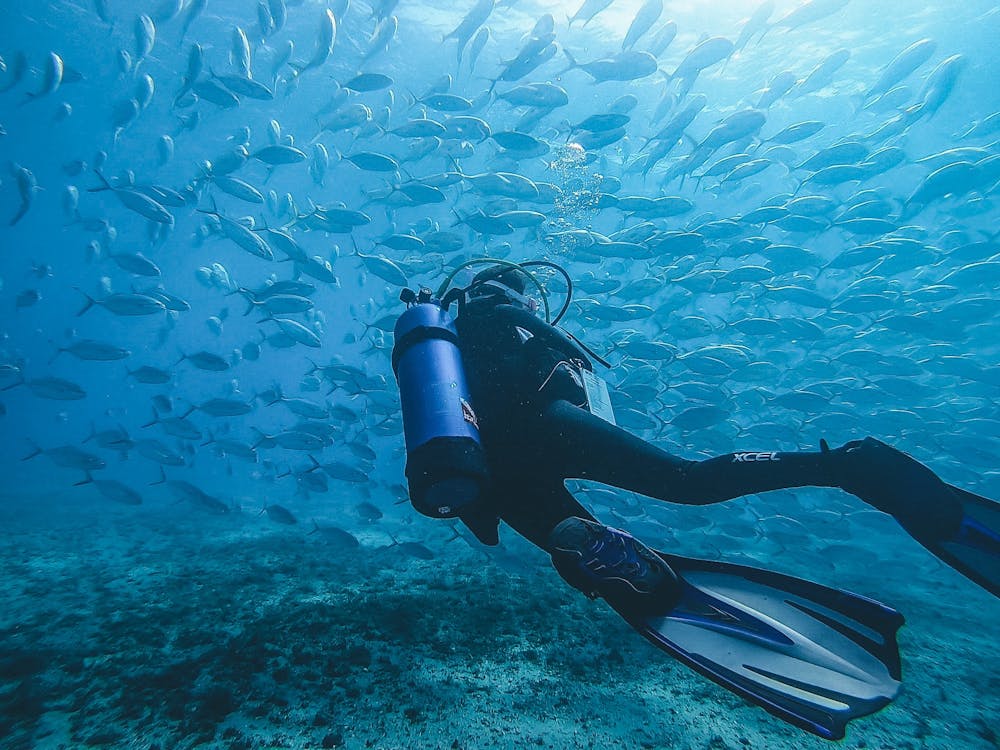 Why SCUBA Divers Should Take a Freediving Course