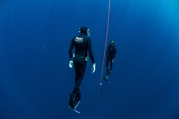 open water free dive training