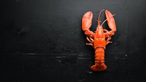a lobster on a table