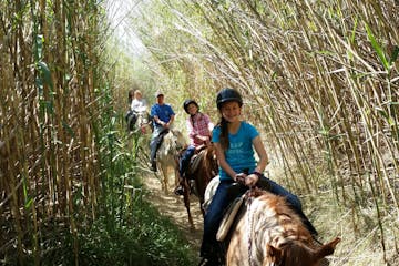 a family on a riverbed horseback trail riding adventure with sunshine and daydreams horseback riding in norco, california