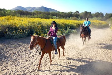 a couple horseback riding aboard a gaited horse with sunshine and daydreams horseback riding in norco, california