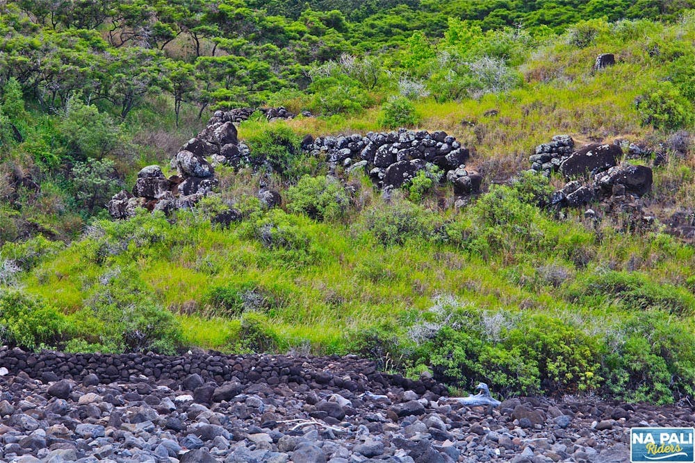 a herd of sheep grazing on a rocky hill