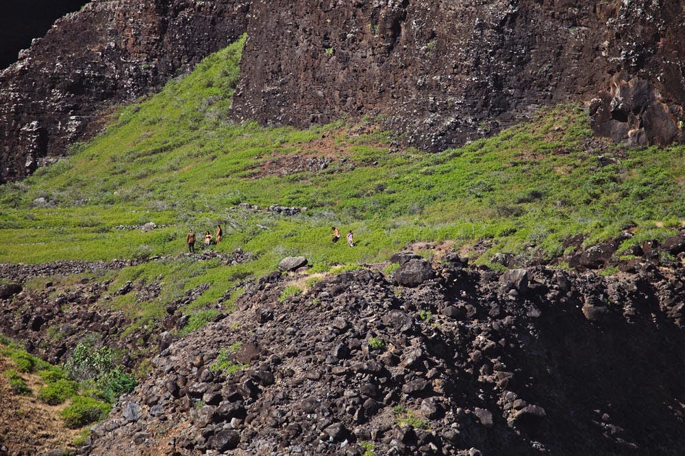 a herd of sheep standing on a rocky hill