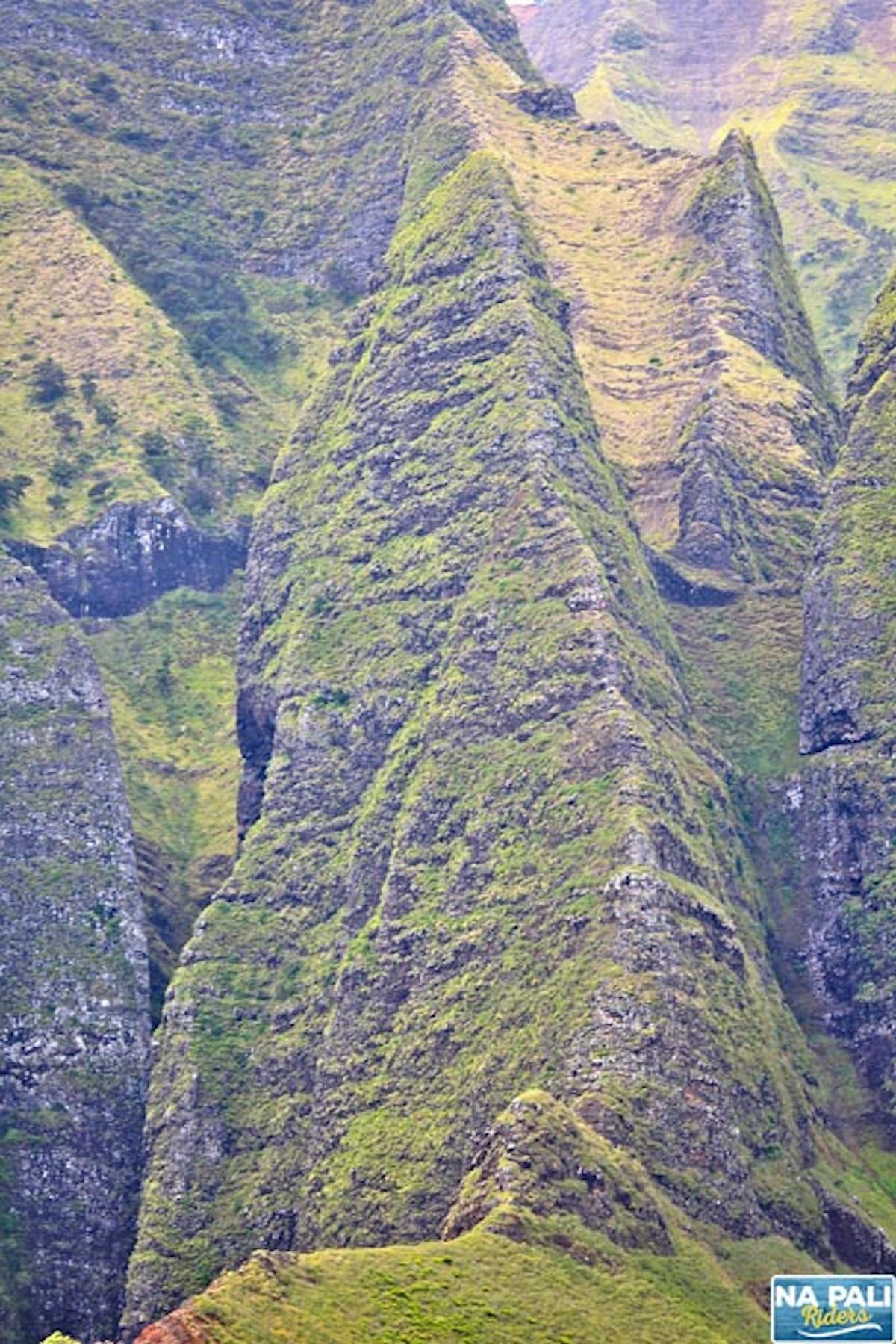 a close up of a hillside next to a mountain