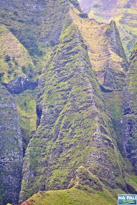 a close up of a hillside next to a mountain