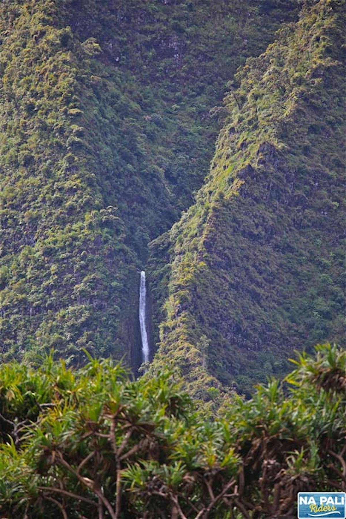 a large waterfall in a forest