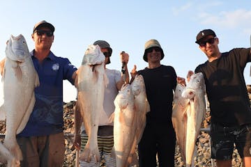 a group of men posing for the camera holding up the fishes they caught on a half day fishing charter with airlie beach fishing charters in airlie beach, queensland