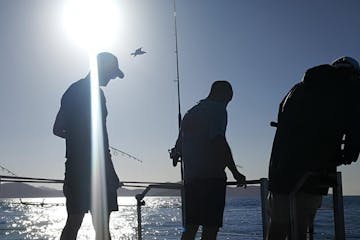 a group of men fishing on an early bird fishing charter with airlie beach fishing charters in airlie beach, queensland