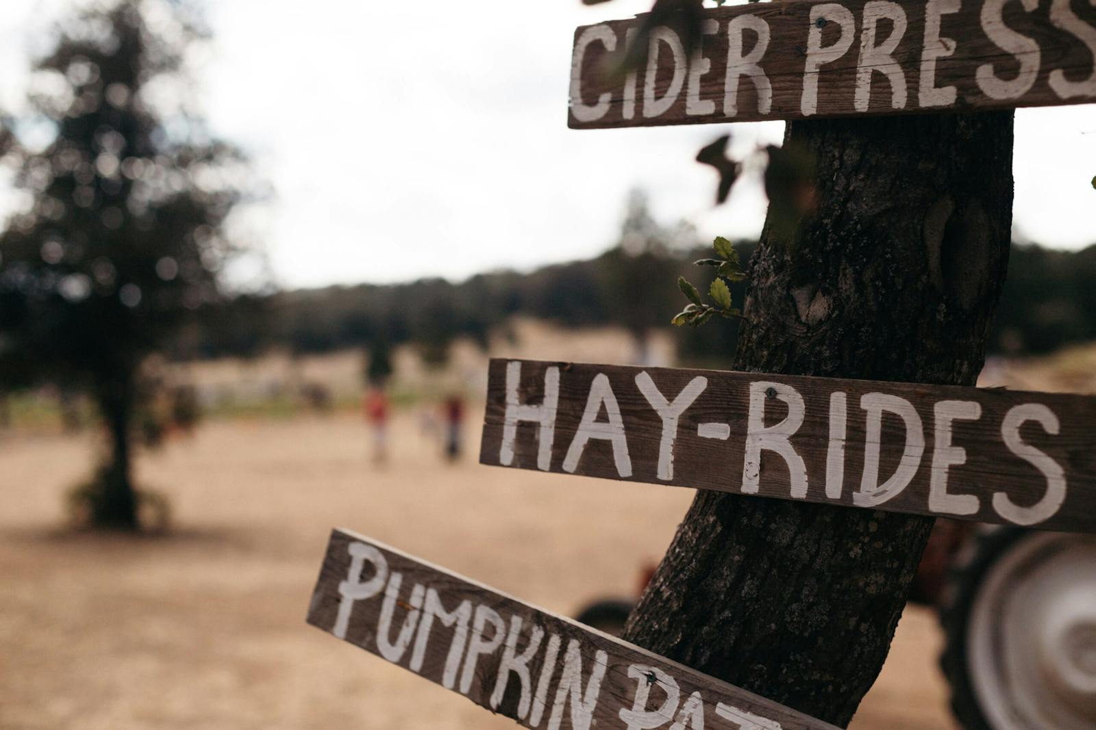 Hay rides, pumpkin patch, cider press sign, farm activities, farm tourism