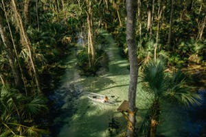 a group of palm trees next to a tree, a woman kayaking
