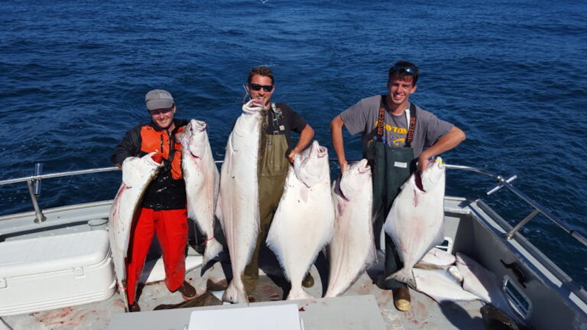 Why Guided Fishing Trips Are Worth It: An Unforgettable Experience
