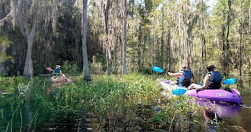 a group of people on a raft in a forest