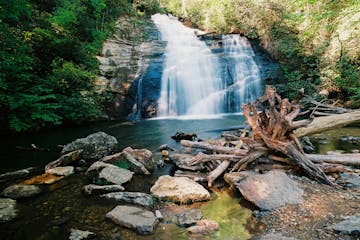 a waterfall surrounded by trees