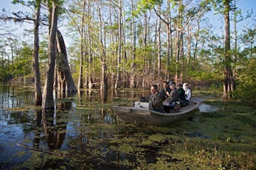 eco Swamp tour in the bayou