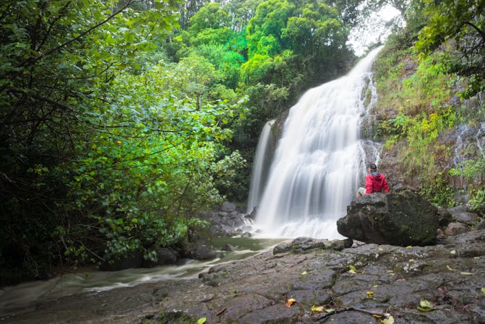 Kauai Waterfall Picnic Horseback Ride | Princeville Ranch - 700 x 467 jpeg 74kB
