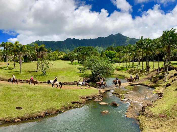 Silver Falls Ranch Best Horseback Riding Kauai Hawaii