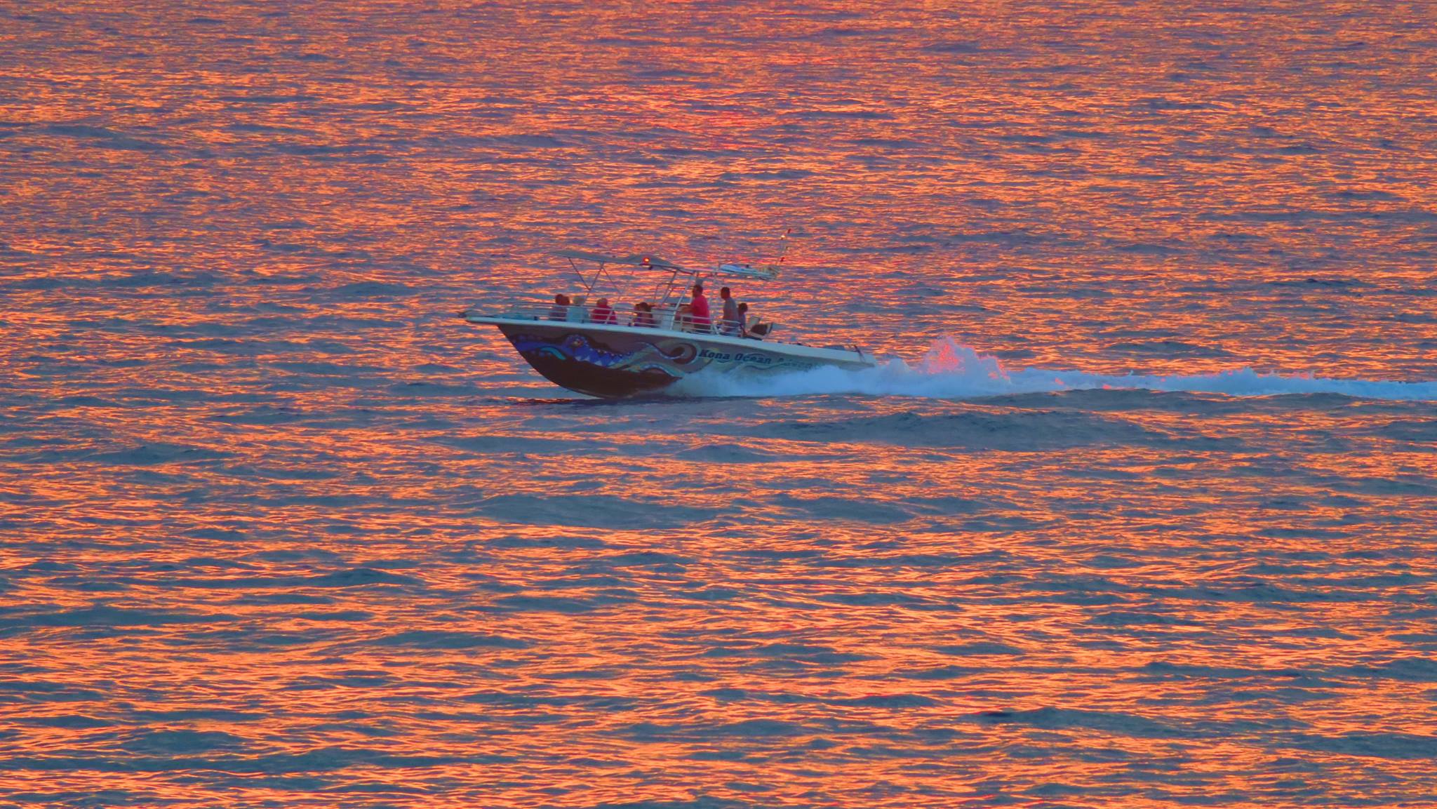 sunset manta ray snorkel kona