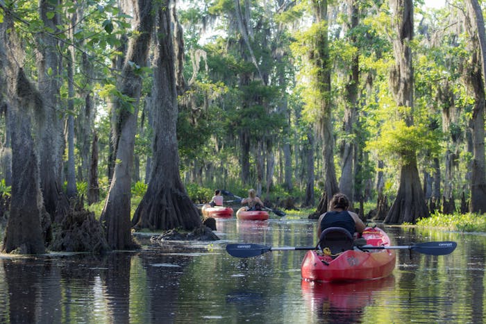 Manchac Mystic Wildlife Kayak Tour | New Orleans Kayak Swamp Tours