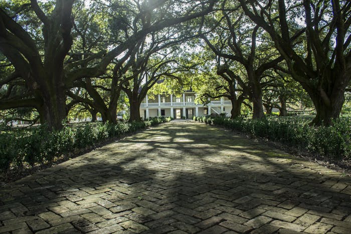 new orleans plantation tours whitney