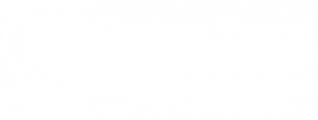 Custom Island Tours