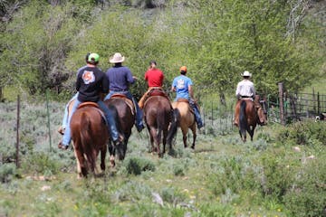 a group of people riding on the back of a horse