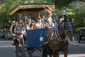 Carolina Polo and Carriage Company Charleston Tours