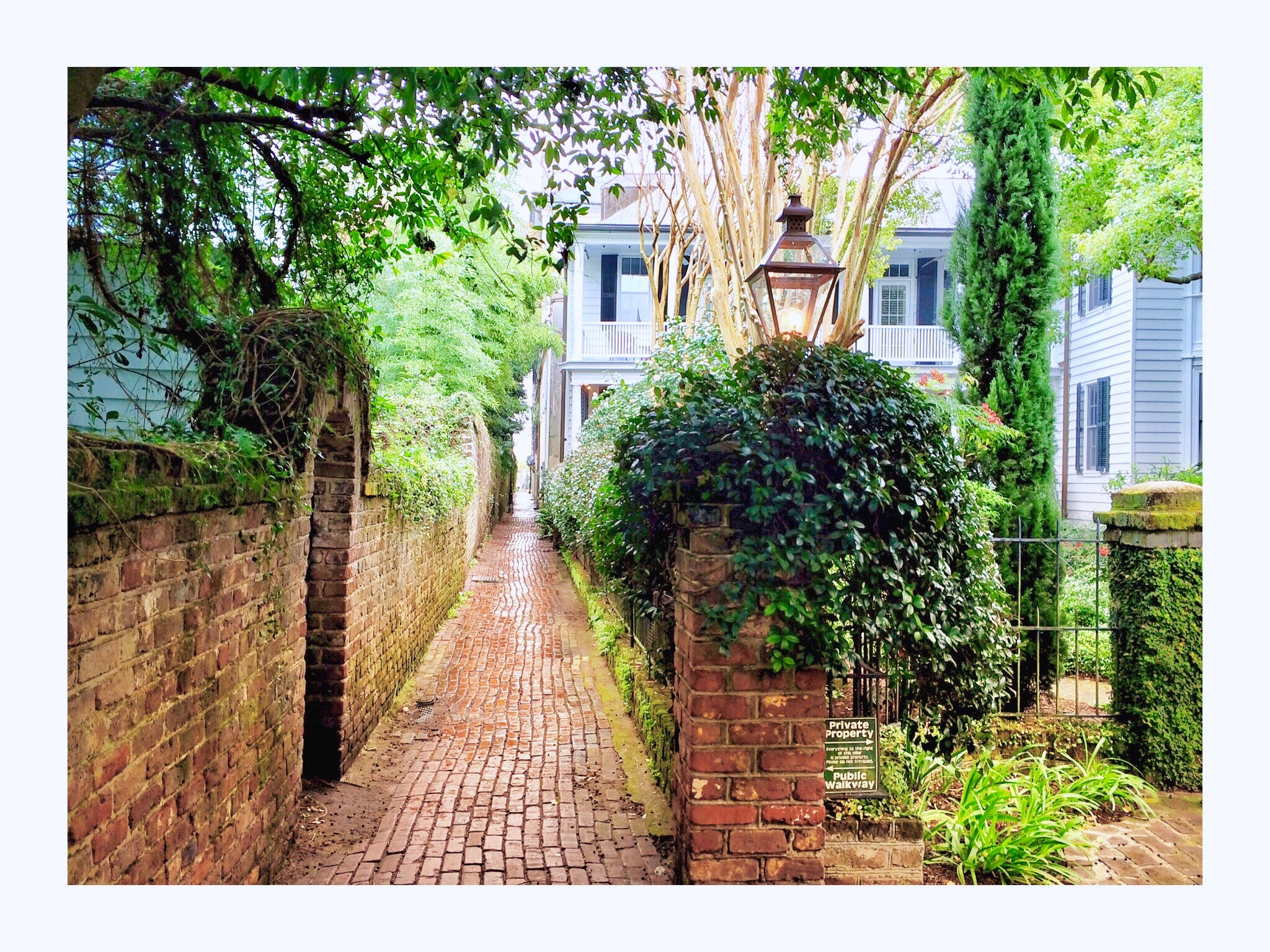 walkway between houses in charleston sc