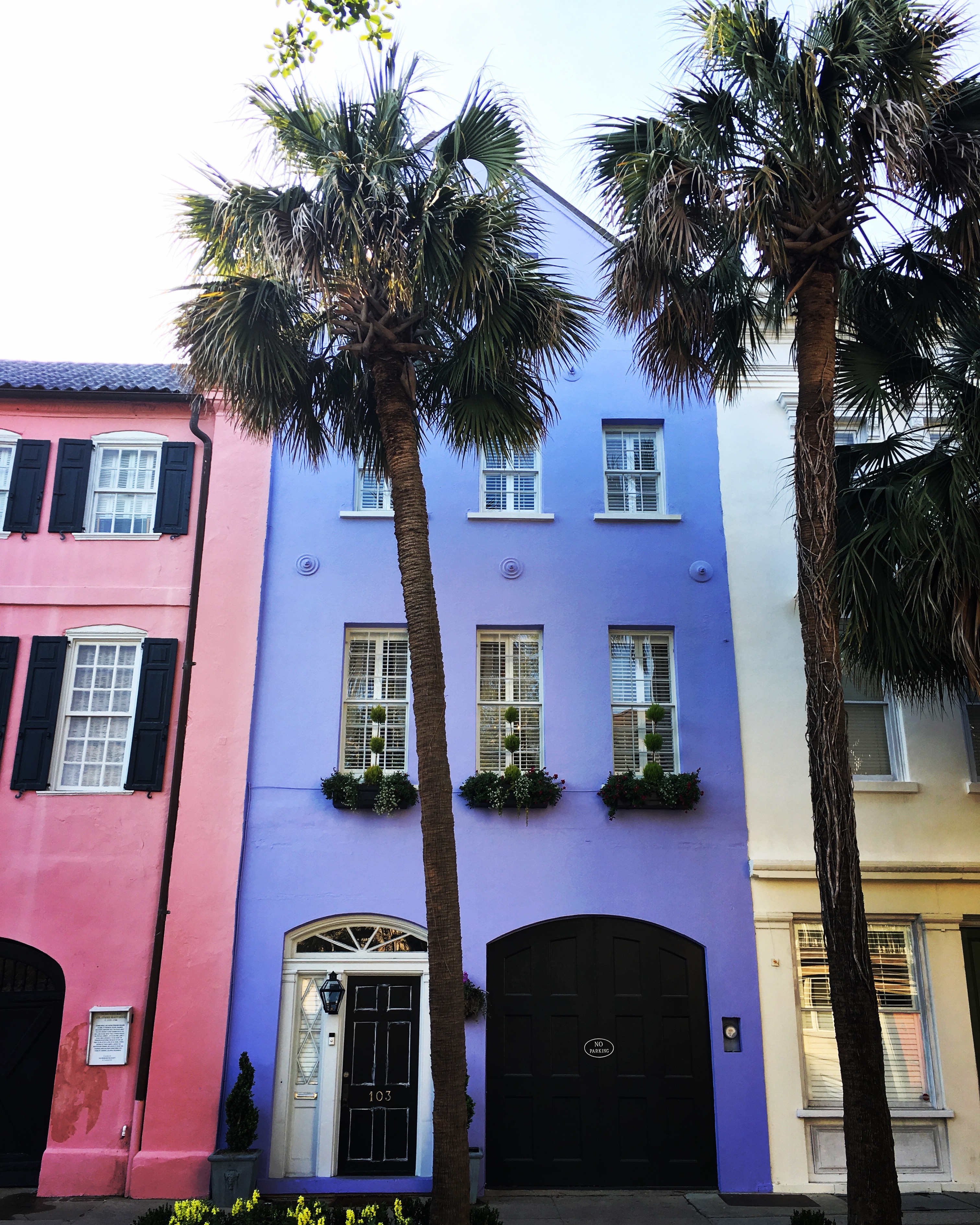 Rainbow Row Charleston Walks Of Charleston