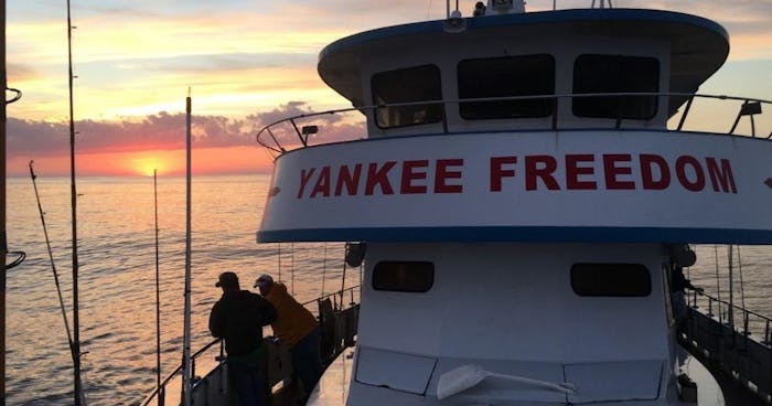 Reel Freedom Offshore Charter - Updated 2024 Prices