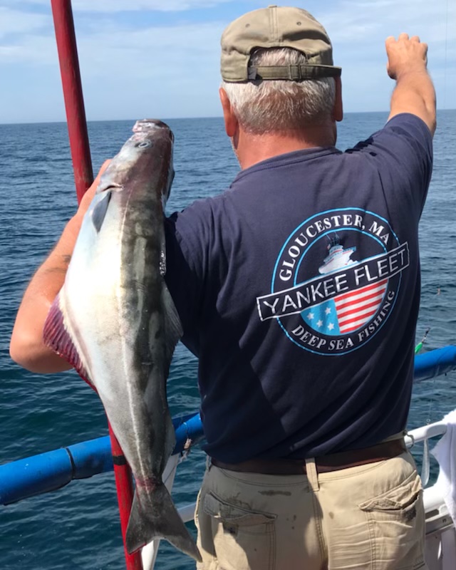 yankee caps fishing