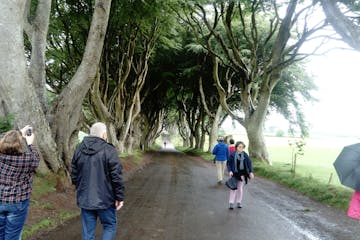 The dark hedges with people walking through them