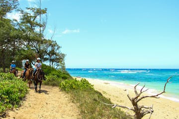 horseback riding along shoreline