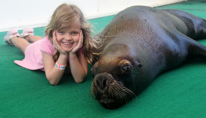 Sea Lion Encounter | Coral World Ocean Park